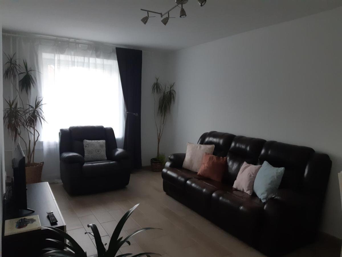 Joreda Apartamentai Birzai Bagian luar foto